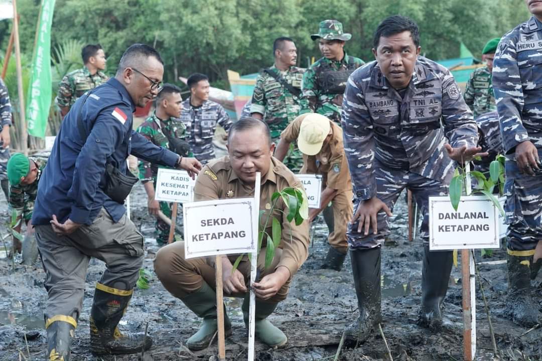 KabarKetapang - Sekda Ketapang Alexander Wilyo, S.STP.,M.Si menghadiri Acara Puncak Penanaman Mangrove Nasional secara Serentak Jajaran TNI se-Indonesia bersama Presiden Republik Indonesia Ir. Joko Widodo secara Virtual, pada Senin (15/05/2023) bertempat di Pantai celincing Kecamatan Benua Kayong, Ketapang.