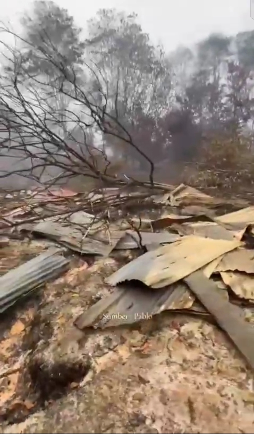 Gambar : Lokasi Kebaran HCV Tanjung Sekuting, Kuala Tolak